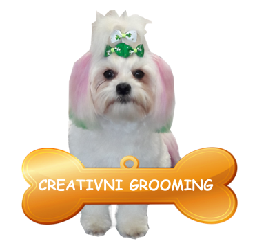 creativni-grooming