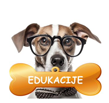 edukacije-salon-dona