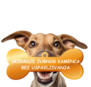 skidanje-zubnog-kamenca-bez-uspavljivanja