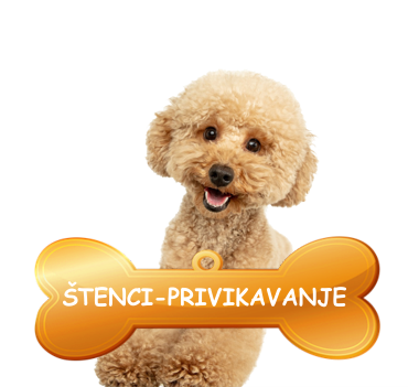 stenci-privikavanje